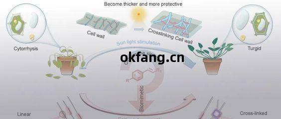 化(hua)合(he)物(wu)定制合(he)成與(yu)技術(shu)工藝轉(zhuan)讓(rang)首選化(hua)學加(jia)